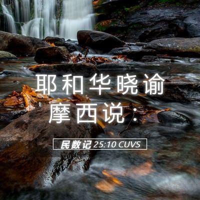 Picture 05 - 民 数 记 25:10 CUVS - 耶 和 华 晓 谕 摩 西 说 - Bible Verse Picture