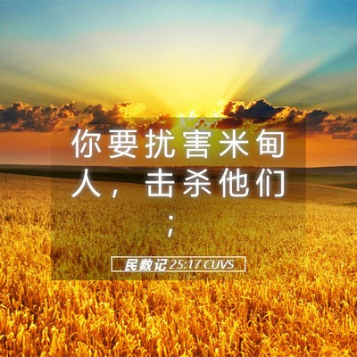 Picture 05 - 民 数 记 25:17 CUVS - 你 要 扰 害 米 甸 人 ， 击 杀 他 们 - Bible Verse Picture