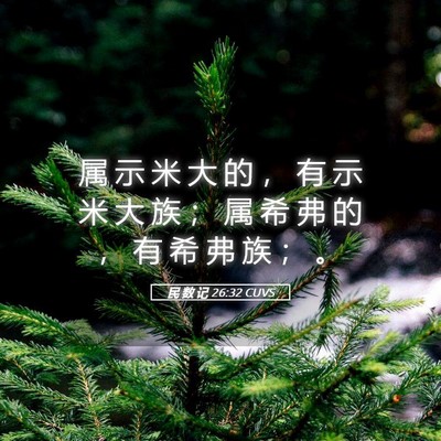 Picture 05 - 民 数 记 26:32 CUVS - 属 示 米 大 的 ， 有 示 米 大 族 ； - Bible Verse Picture