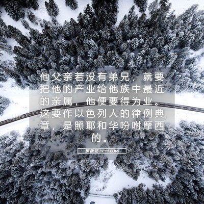 Picture 05 - 民 数 记 27:11 CUVS - 他 父 亲 若 没 有 弟 兄 ， 就 要 把 - Bible Verse Picture