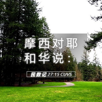 Picture 05 - 民 数 记 27:15 CUVS - 摩 西 对 耶 和 华 说 - Bible Verse Picture