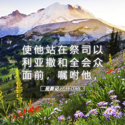 Picture 05 - 民 数 记 27:19 CUVS - 使 他 站 在 祭 司 以 利 亚 撒 和 全 - Bible Verse Picture