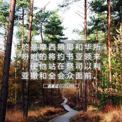 Picture 05 - 民 数 记 27:22 CUVS - 於 是 摩 西 照 耶 和 华 所 吩 咐 的 - Bible Verse Picture