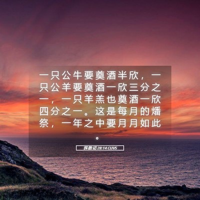 Picture 05 - 民 数 记 28:14 CUVS - 一 只 公 牛 要 奠 酒 半 欣 ， 一 只 - Bible Verse Picture