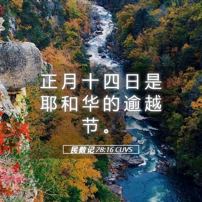 Picture 05 - 民 数 记 28:16 CUVS - 正 月 十 四 日 是 耶 和 华 的 逾 越 - Bible Verse Picture