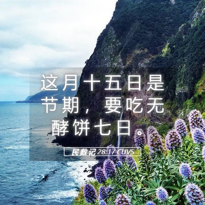 Picture 05 - 民 数 记 28:17 CUVS - 这 月 十 五 日 是 节 期 ， 要 吃 无 - Bible Verse Picture