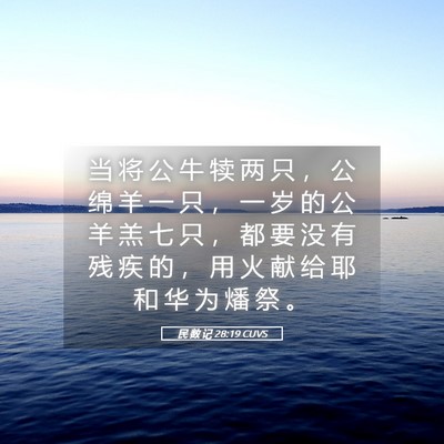 Picture 05 - 民 数 记 28:19 CUVS - 当 将 公 牛 犊 两 只 ， 公 绵 羊 一 - Bible Verse Picture