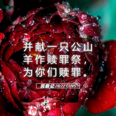 Picture 05 - 民 数 记 28:22 CUVS - 并 献 一 只 公 山 羊 作 赎 罪 祭 ， - Bible Verse Picture