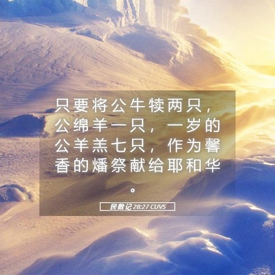 Picture 05 - 民 数 记 28:27 CUVS - 只 要 将 公 牛 犊 两 只 ， 公 绵 羊 - Bible Verse Picture