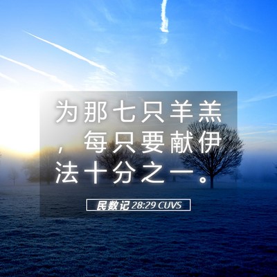 Picture 05 - 民 数 记 28:29 CUVS - 为 那 七 只 羊 羔 ， 每 只 要 献 伊 - Bible Verse Picture