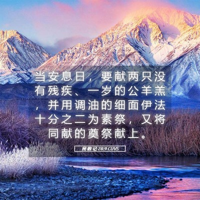 Picture 05 - 民 数 记 28:9 CUVS - 当 安 息 日 ， 要 献 两 只 没 有 残 - Bible Verse Picture