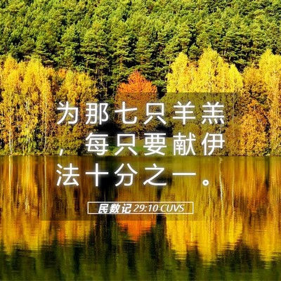Picture 05 - 民 数 记 29:10 CUVS - 为 那 七 只 羊 羔 ， 每 只 要 献 伊 - Bible Verse Picture