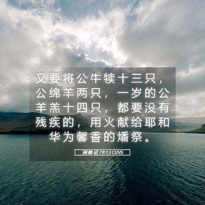 Picture 05 - 民 数 记 29:13 CUVS - 又 要 将 公 牛 犊 十 三 只 ， 公 绵 - Bible Verse Picture