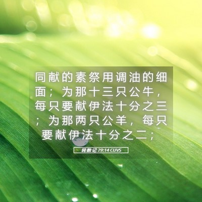 Picture 05 - 民 数 记 29:14 CUVS - 同 献 的 素 祭 用 调 油 的 细 面 ； - Bible Verse Picture