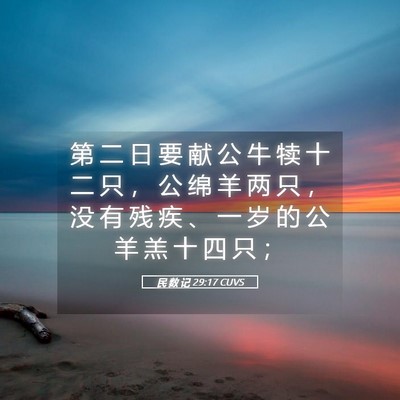 Picture 05 - 民 数 记 29:17 CUVS - 第 二 日 要 献 公 牛 犊 十 二 只 ， - Bible Verse Picture
