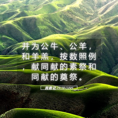 Picture 05 - 民 数 记 29:18 CUVS - 并 为 公 牛 、 公 羊 ， 和 羊 羔 ， - Bible Verse Picture