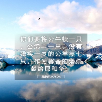 Picture 05 - 民 数 记 29:2 CUVS - 你 们 要 将 公 牛 犊 一 只 ， 公 绵 - Bible Verse Picture
