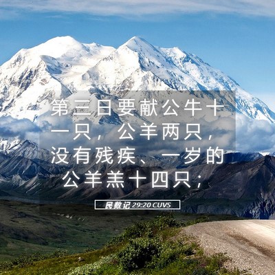Picture 05 - 民 数 记 29:20 CUVS - 第 三 日 要 献 公 牛 十 一 只 ， 公 - Bible Verse Picture