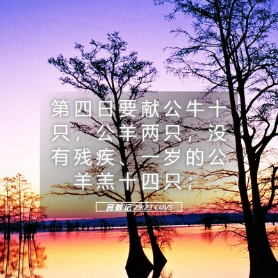 Picture 05 - 民 数 记 29:23 CUVS - 第 四 日 要 献 公 牛 十 只 ， 公 羊 - Bible Verse Picture