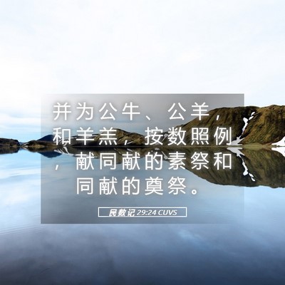 Picture 05 - 民 数 记 29:24 CUVS - 并 为 公 牛 、 公 羊 ， 和 羊 羔 ， - Bible Verse Picture