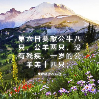 Picture 05 - 民 数 记 29:29 CUVS - 第 六 日 要 献 公 牛 八 只 ， 公 羊 - Bible Verse Picture