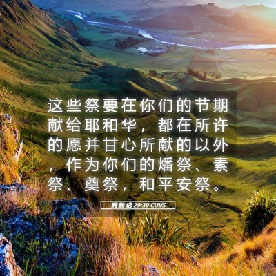 Picture 05 - 民 数 记 29:39 CUVS - 这 些 祭 要 在 你 们 的 节 期 献 给 - Bible Verse Picture