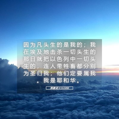 Picture 05 - 民 数 记 3:13 CUVS - 因 为 凡 头 生 的 是 我 的 ； 我 在 - Bible Verse Picture