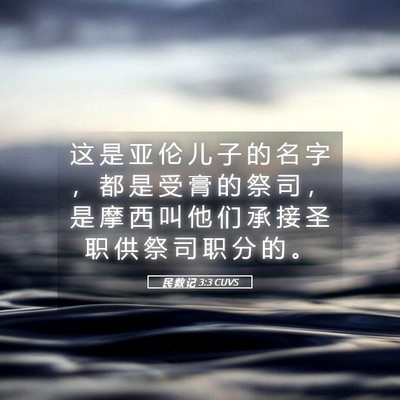 Picture 05 - 民 数 记 3:3 CUVS - 这 是 亚 伦 儿 子 的 名 字 ， 都 是 - Bible Verse Picture