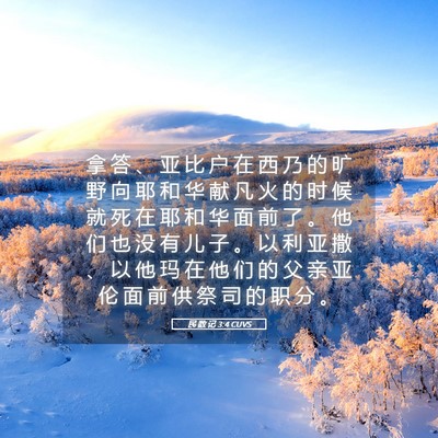 Picture 05 - 民 数 记 3:4 CUVS - 拿 答 、 亚 比 户 在 西 乃 的 旷 野 - Bible Verse Picture