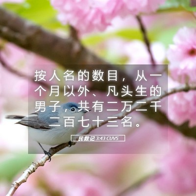 Picture 05 - 民 数 记 3:43 CUVS - 按 人 名 的 数 目 ， 从 一 个 月 以 - Bible Verse Picture
