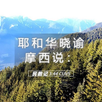 Picture 05 - 民 数 记 3:44 CUVS - 耶 和 华 晓 谕 摩 西 说 - Bible Verse Picture