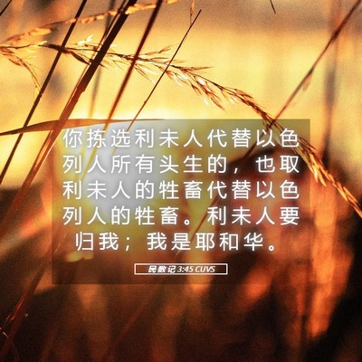 Picture 05 - 民 数 记 3:45 CUVS - 你 拣 选 利 未 人 代 替 以 色 列 人 - Bible Verse Picture