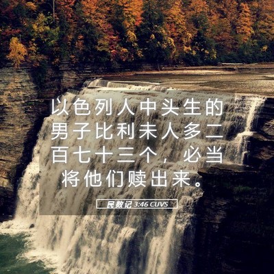 Picture 05 - 民 数 记 3:46 CUVS - 以 色 列 人 中 头 生 的 男 子 比 利 - Bible Verse Picture