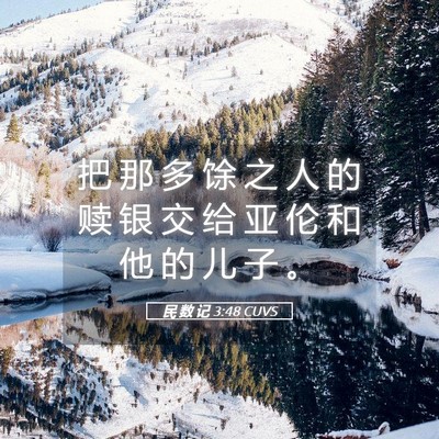 Picture 05 - 民 数 记 3:48 CUVS - 把 那 多 馀 之 人 的 赎 银 交 给 亚 - Bible Verse Picture