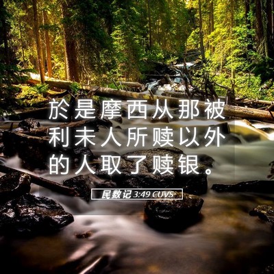 Picture 05 - 民 数 记 3:49 CUVS - 於 是 摩 西 从 那 被 利 未 人 所 赎 - Bible Verse Picture