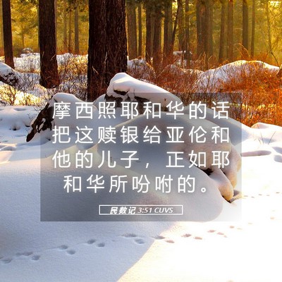 Picture 05 - 民 数 记 3:51 CUVS - 摩 西 照 耶 和 华 的 话 把 这 赎 银 - Bible Verse Picture