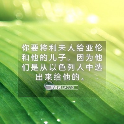 Picture 05 - 民 数 记 3:9 CUVS - 你 要 将 利 未 人 给 亚 伦 和 他 的 - Bible Verse Picture