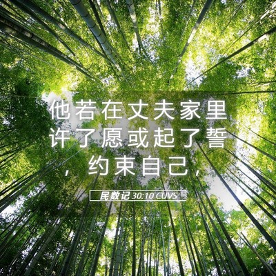 Picture 05 - 民 数 记 30:10 CUVS - 他 若 在 丈 夫 家 里 许 了 愿 或 起 - Bible Verse Picture