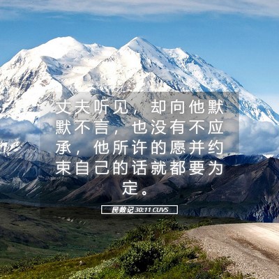 Picture 05 - 民 数 记 30:11 CUVS - 丈 夫 听 见 ， 却 向 他 默 默 不 言 - Bible Verse Picture
