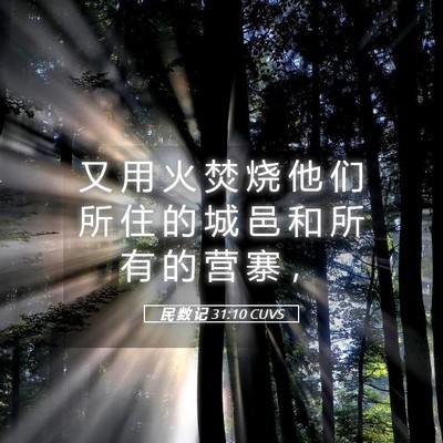 Picture 05 - 民 数 记 31:10 CUVS - 又 用 火 焚 烧 他 们 所 住 的 城 邑 - Bible Verse Picture