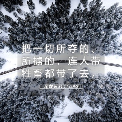 Picture 05 - 民 数 记 31:11 CUVS - 把 一 切 所 夺 的 、 所 掳 的 ， 连 - Bible Verse Picture