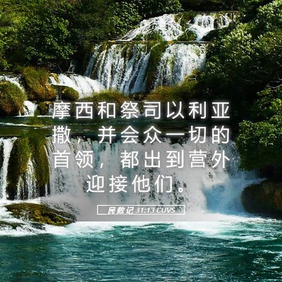 Picture 05 - 民 数 记 31:13 CUVS - 摩 西 和 祭 司 以 利 亚 撒 ， 并 会 - Bible Verse Picture