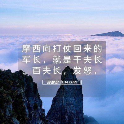 Picture 05 - 民 数 记 31:14 CUVS - 摩 西 向 打 仗 回 来 的 军 长 ， 就 - Bible Verse Picture