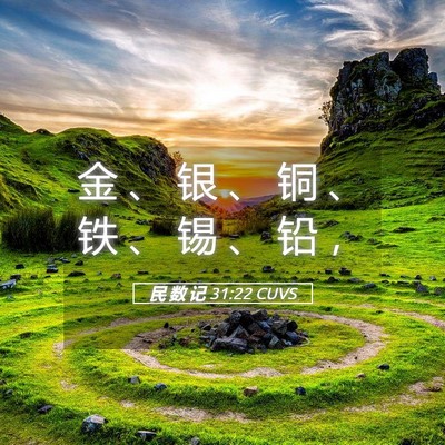 Picture 05 - 民 数 记 31:22 CUVS - 金 、 银 、 铜 、 铁 、 锡 、 铅 - Bible Verse Picture