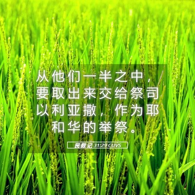 Picture 05 - 民 数 记 31:29 CUVS - 从 他 们 一 半 之 中 ， 要 取 出 来 - Bible Verse Picture