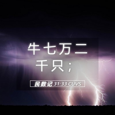 Picture 05 - 民 数 记 31:33 CUVS - 牛 七 万 二 千 只 - Bible Verse Picture