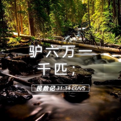 Picture 05 - 民 数 记 31:34 CUVS - 驴 六 万 一 千 匹 - Bible Verse Picture