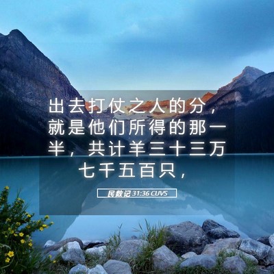 Picture 05 - 民 数 记 31:36 CUVS - 出 去 打 仗 之 人 的 分 ， 就 是 他 - Bible Verse Picture