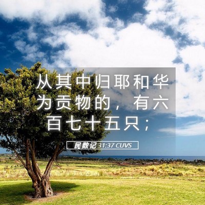 Picture 05 - 民 数 记 31:37 CUVS - 从 其 中 归 耶 和 华 为 贡 物 的 ， - Bible Verse Picture