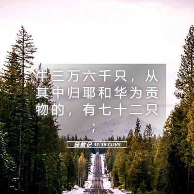 Picture 05 - 民 数 记 31:38 CUVS - 牛 三 万 六 千 只 ， 从 其 中 归 耶 - Bible Verse Picture